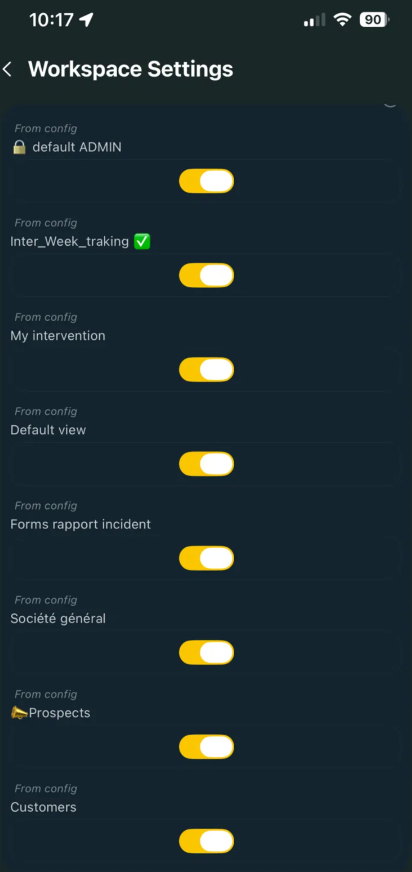 Paramètres de l'espace de travail mobile : activation des vues en raccourci